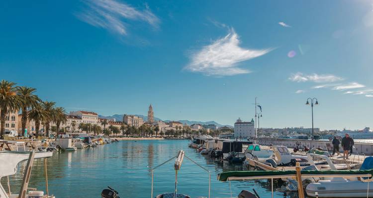 Drukke jachthaven met boten en kustgebouwen.