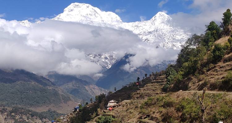 Ghorepani Poonhill and Mardi Trek. - Travel Corporation Nepal 9