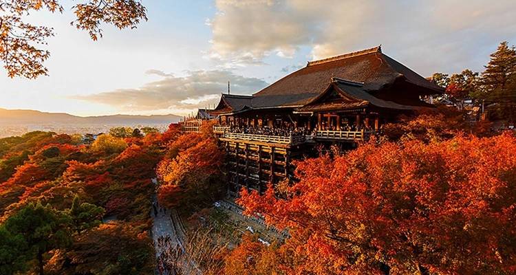 Japon ancien et moderne - Jill Travel 2
