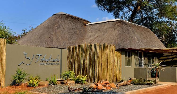 Safari de 10 días en Kruger Game Drive y vacaciones en la playa de Ciudad del Cabo - Knap Tours Limited 3
