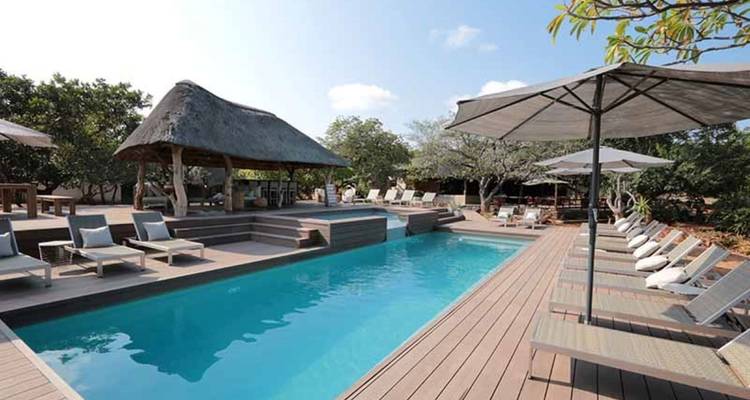 Safari de 10 días en Kruger Game Drive y vacaciones en la playa de Ciudad del Cabo - Knap Tours Limited 7