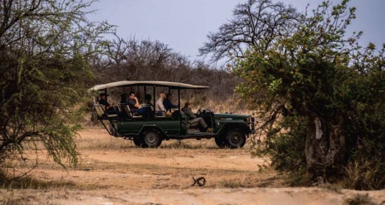 Safari de 10 días en Kruger Game Drive y vacaciones en la playa de Ciudad del Cabo - Knap Tours Limited 10