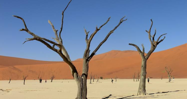 Circuit safari de 10 jours et visite des principales attractions en Namibie - Knap Tours Limited 1