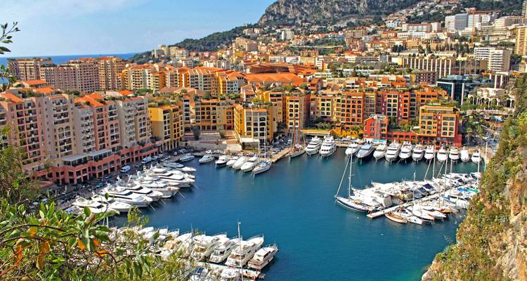 Coup de projecteur sur la Côte d'Azur avec le Carnaval de Nice et la Fête du Citron de Menton (2025) - Collette 3