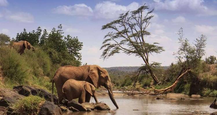 6 Days Tsavo East Amboseli Lake Nakuru Masai Mara Safari - Great Lake Expedition 2