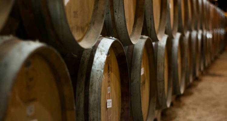 Semi-privé ; dégustation de vins et visite à pied de Durres - Choose Balkans 1