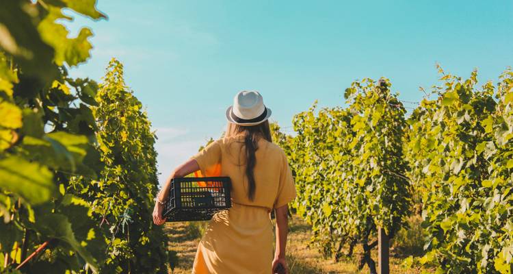 Semi-privé ; dégustation de vins et visite à pied de Durres - Choose Balkans 2