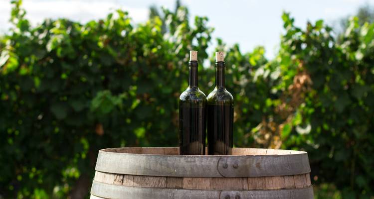 Semi-privé ; dégustation de vins et visite à pied de Durres - Choose Balkans 10