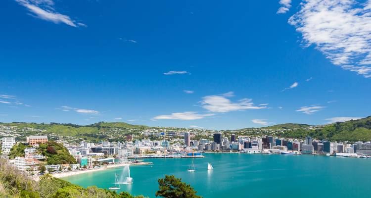 New Zealand Panorama (Southbound) - Contiki 7