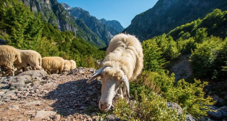 Circuito de senderismo autoguiado por el Parque Nacional de Theth y el Ojo Azul - Choose Balkans 2