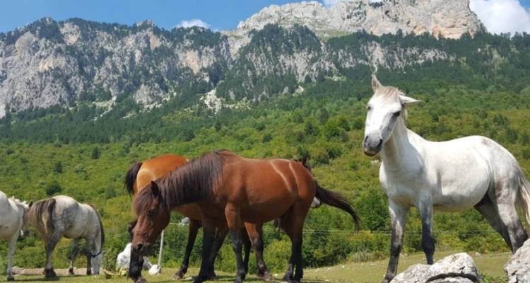 Visite autoguidée : Randonnée du lac Komani et de la vallée de Valbona en 3 jours - Choose Balkans 6