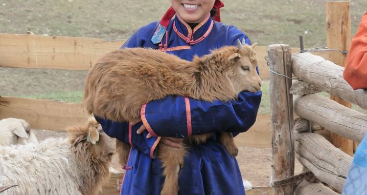 Estepa amplia - Caballos salvajes - Tour Mongolia 9