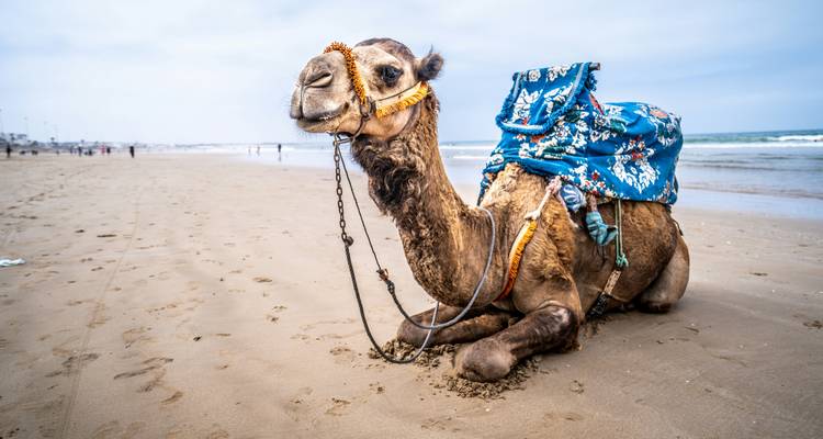 Circuit dans le désert d'Agadir à Merzouga - 4 jours - Tours privés au Maroc - Private Desert Tours 8