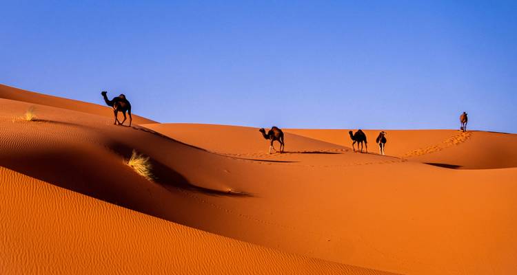 Mejor circuito por Marruecos de Fez a Marrakech - Circuito por el desierto 5 días - Private Desert Tours 2