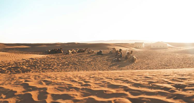 Private Marrakech Desert Tours To Jewish Dunes - Private Desert Tours 1