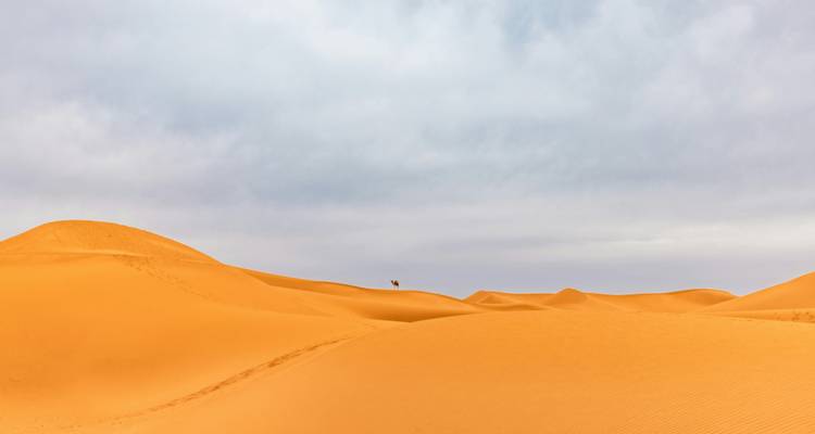 Private Morocco Tours Dades Gorges, Draa Valley, Night Desert Camp - Private Desert Tours 8