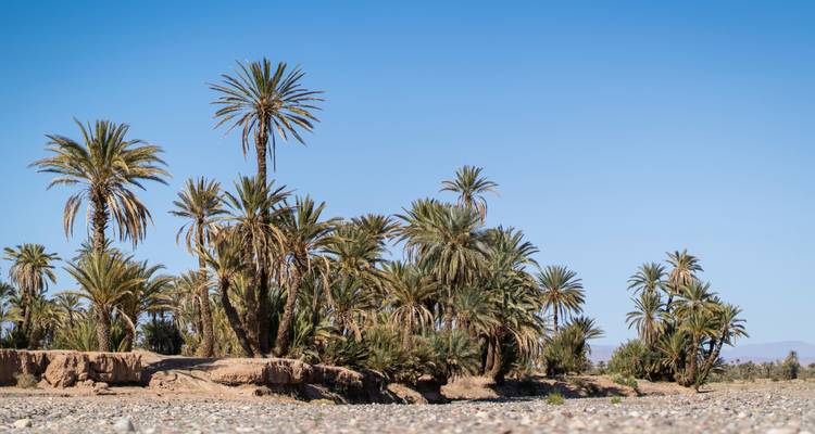 Marrakesh Private Tours Les vallées du sud - Private Desert Tours 6