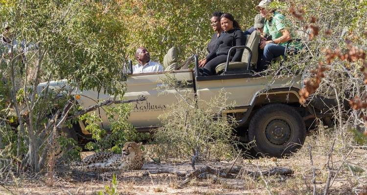 5-day Luxury Private Safari in Sabi Sands and Kruger, South Africa - Professional Safari Africa 1