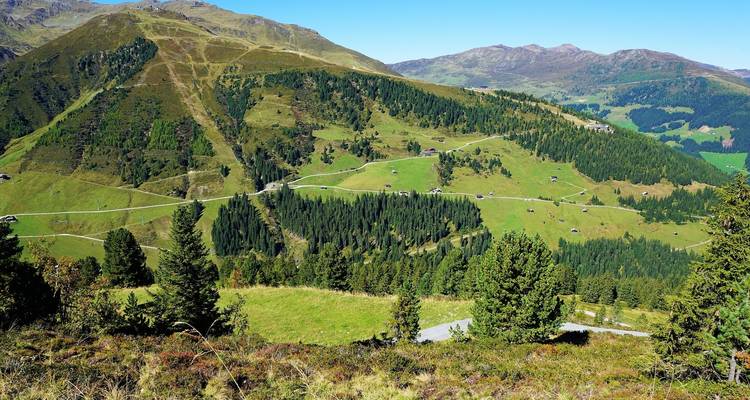 Panoramic view of green hills and forests.