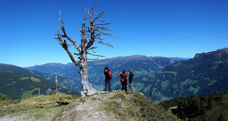Group of people on a mountain viewpoint.