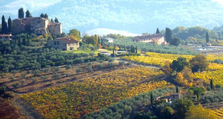 La Toscana en el punto de mira (2025) - Collette 5