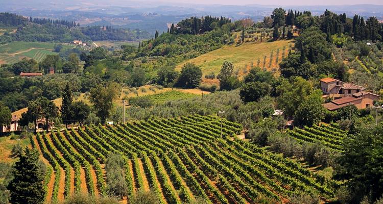 La Toscana en el punto de mira (2025) - Collette 4