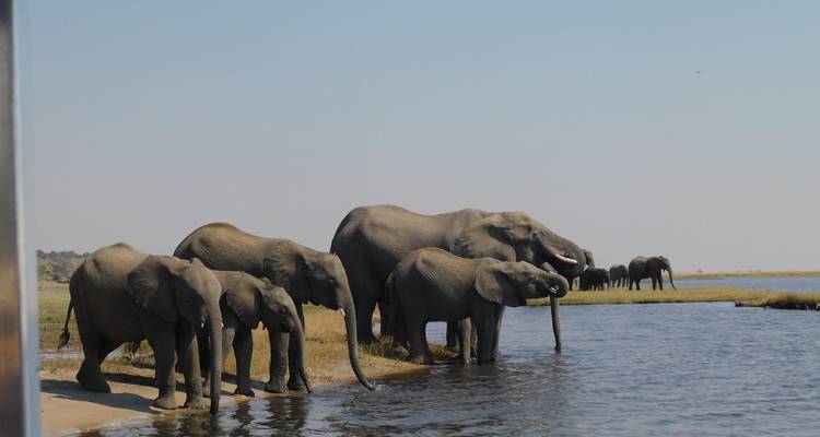 Exploring South Africa, Victoria Falls, and Botswana  (Johannesburg to Cape Town) (2026) - Collette 2