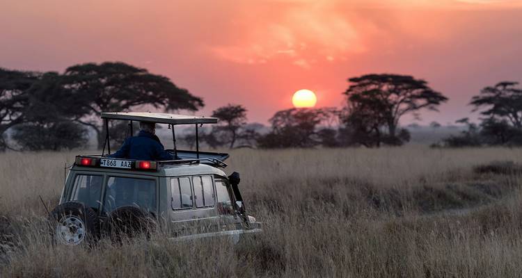 Exploring South Africa, Victoria Falls, and Botswana  (Johannesburg to Cape Town) (2026) - Collette 9