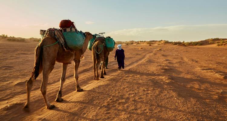 Camels Trekking Desert Morocco 6 Days - Private Desert Tours 2