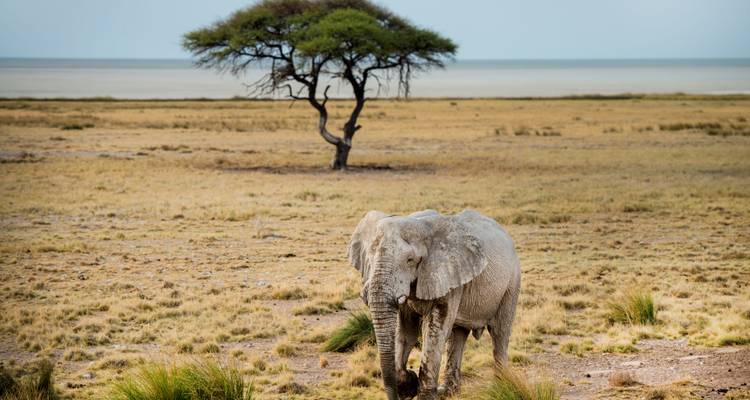 Explorador de Namibia - Circuito Clásico (acampada y alojamiento 2025) - Nomad Africa Adventure Tours 3