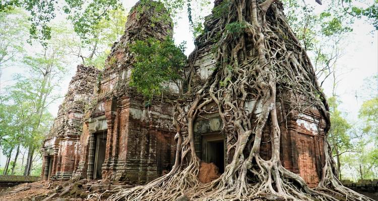 Vervallen tempel met grote boomwortels die door de structuur heen groeien.