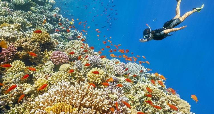 Enjoy 6-nights, Cairo, Pyramids, Nile Cruise, Abu Simbel & Red Sea by flight - Egypt cruise travel 9