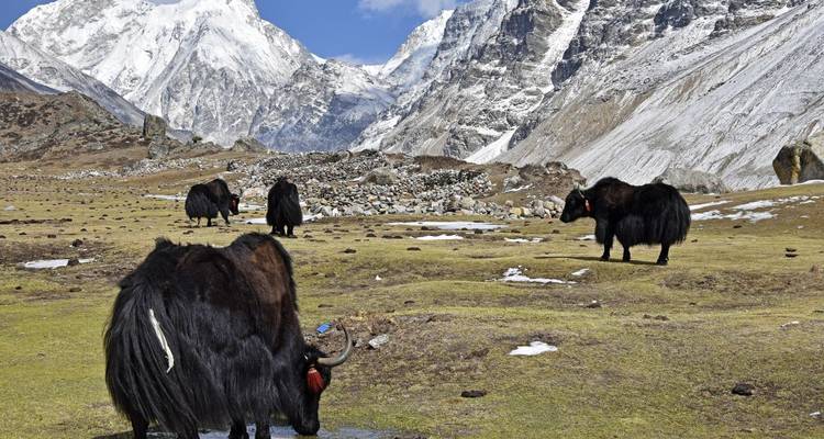 On wild trails to Kanchenjunga base camp - DIAMIR Erlebnisreisen 3