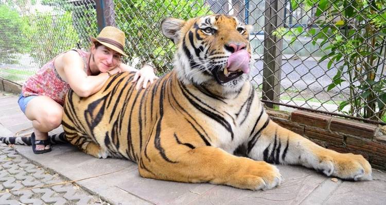 Aventura privada de 7 días en Phuket - ToBadaa 2