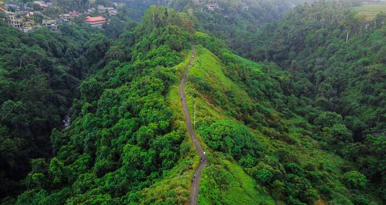 Hong Kong et Bali : vues d'horizon et paradis des îles - journaway 8