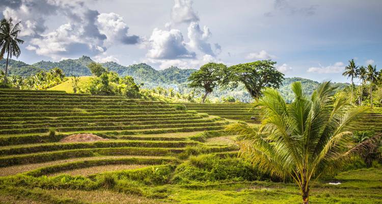 Taiwán y Filipinas: la jungla urbana se une a la aventura isleña - journaway 9