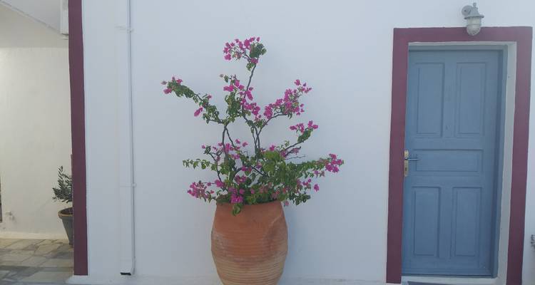 Into the Endless Blue of the Aegean Sea - Epos Travel & Tours 7