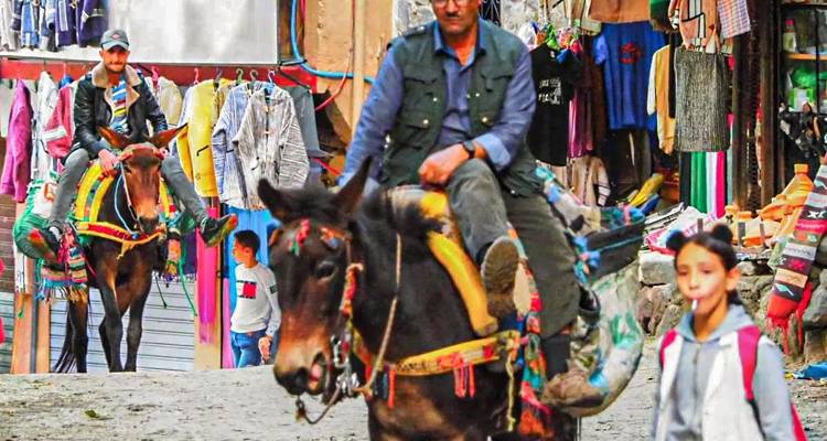 1-Day Tours From Marrakech To Mule Trekking In Imlil - Morhara Morocco Tours 8