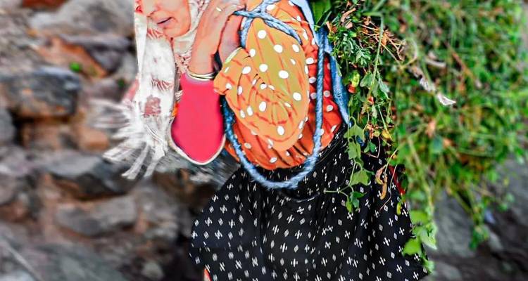 1-Day Tours From Marrakech To Mule Trekking In Imlil - Morhara Morocco Tours 9