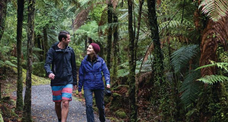 Premium - South Island Escape - Wild Kiwi 6