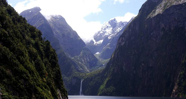 Premium - South Island Escape - Wild Kiwi 8