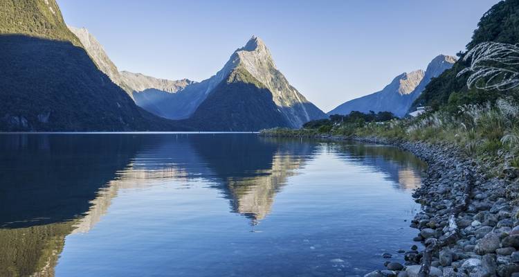 Premium - South Island Escape - Wild Kiwi 9