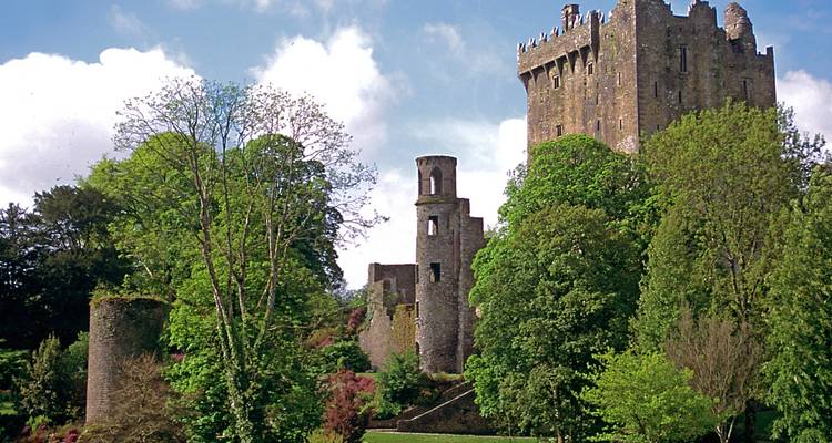 Irish Splendor  (Dublin to Kingscourt) (2025) - Collette 8