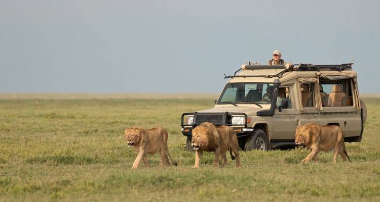 6 Days Tanzania Northern Circuit Safari , Materuni Waterfall & Coffe Plantation - kilimanjaro habitas 2