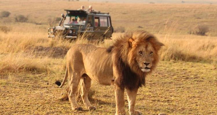 Tanzania 5  Days - Unique Wildlife Experiences - Nature Safari 7