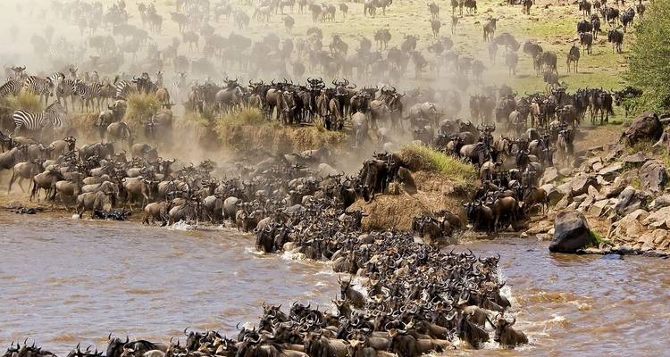 13 jours de safari Kenya - Tanzanie - Kiriwe Travel And Trekking Safaris Ltd 10
