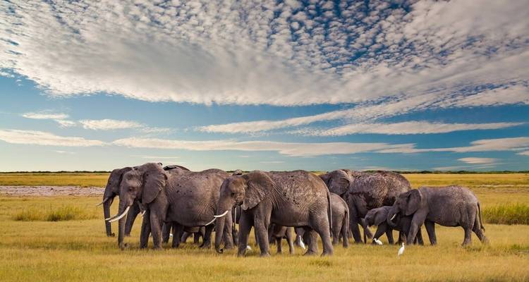Safari de 13 días por la esencia de la vida salvaje y la cultura de Tanzania - Nature Safari 6