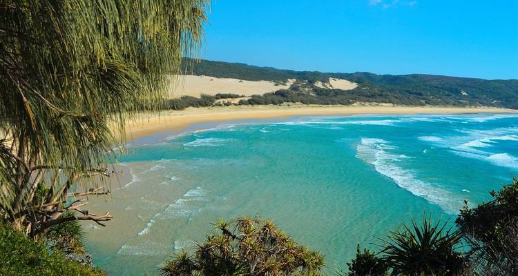 Aventura de Sídney a Brisbane - 8 días - On The Go Tours 6