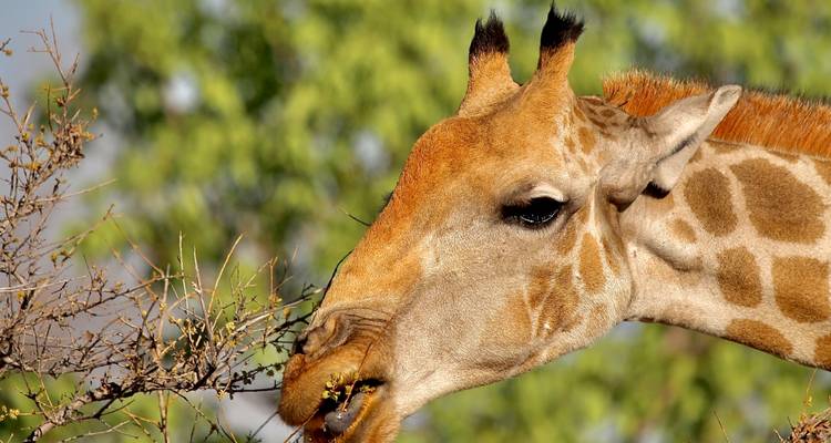 5 days Sossusvlei, Swakopmund and Etosha NP Camping - Discovery Transfers and Tours 4