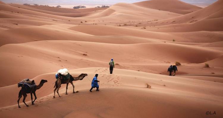Caravane de chameaux traversant les dunes de sable avec des voyageurs.